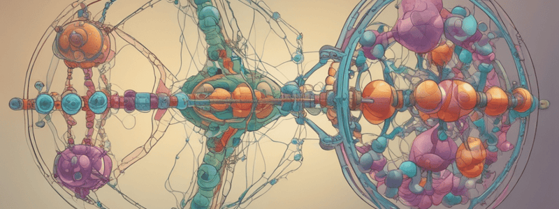 Purines and Pyrimidine Metabolism Quiz