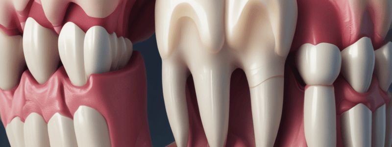 Dental Pulp Structure and Function