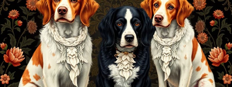 Dog Breeds: Retrievers and Spaniels