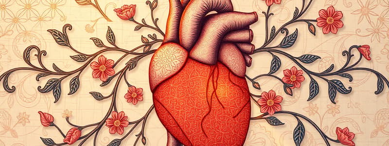 Medication and Action Potential Quiz