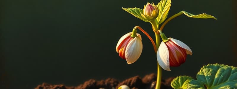 Plant Science: Seed Germination Techniques