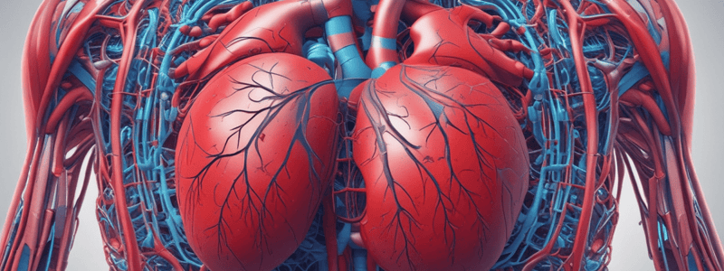 Ch 13 - part 1 Human Circulatory System: Two Circuits Overview