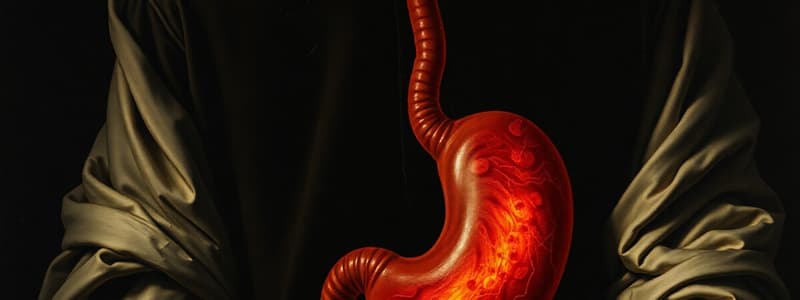 Gastritis: Types, Causes, and Prevention