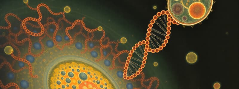 Cell Cycle and Nucleic Acids Overview