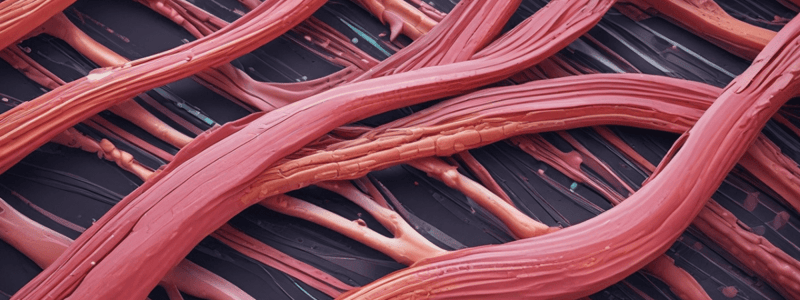 Skeletal Muscle Physiology