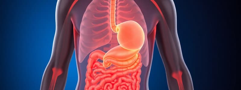 Tema 1. Digestión, Absorción y Metabolismo