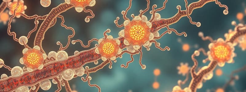 Sodium Channels Overview