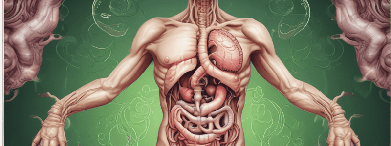 Digestive System Hormones