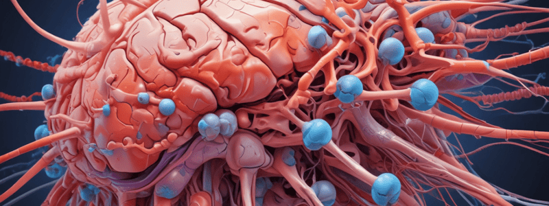 Spinal Cord Meninges Anatomy