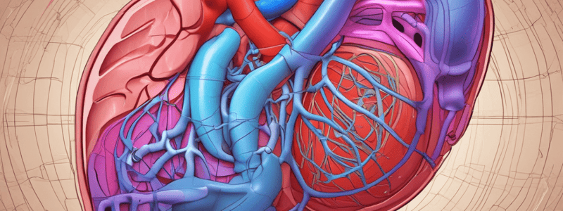 Physiology of Arterial Pressure and Ventricular Function