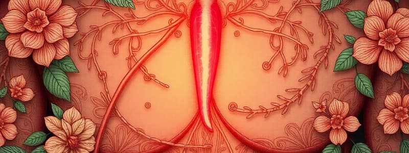 Rôle et structure des testicules