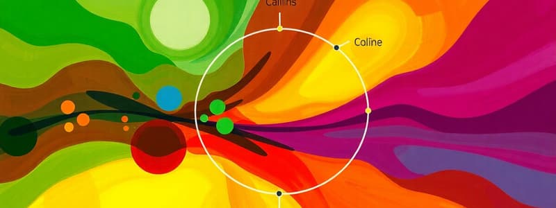 Photosynthesis Overview and Stages