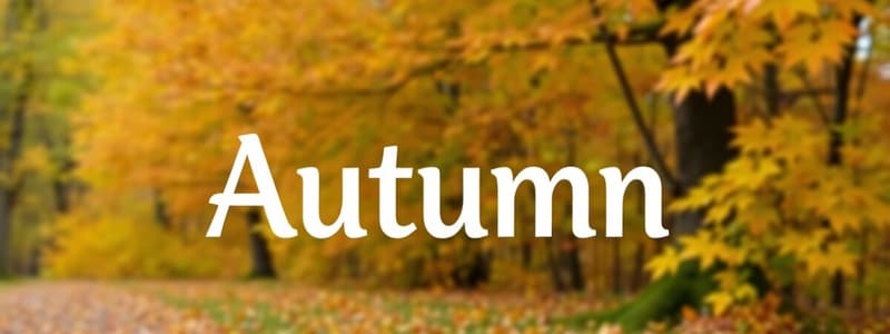 Autumn Vocabulary Quiz