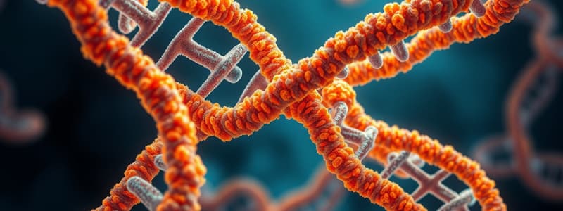 Eukaryotic Chromosomes and Chromatin