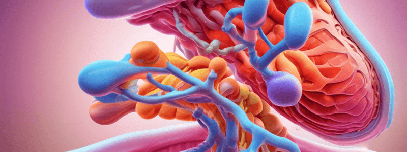 Iodides Absorption and Thyroid Hormone Synthesis