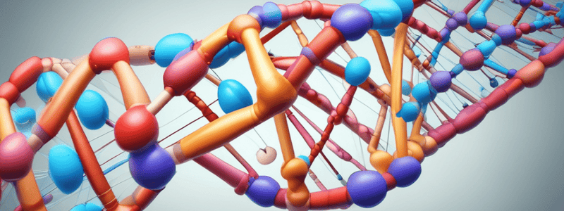 Estructura del ADN