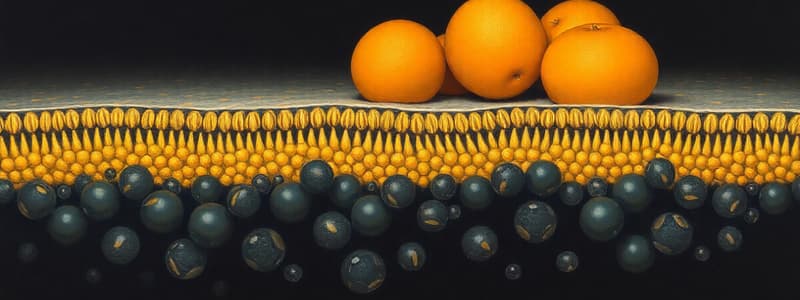 Biochemistry: Lipids Overview