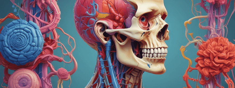 RMIT University Anatomy and Physiology Quiz