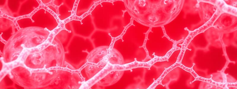 Connective Tissue Cells and Fibers Quiz