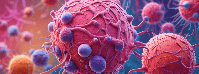 21.4 Secondary Lymphoid Structures