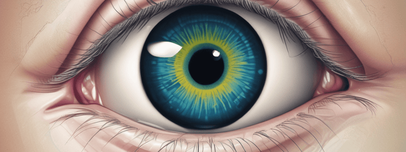 Glaucoma Diagnosis and Testing