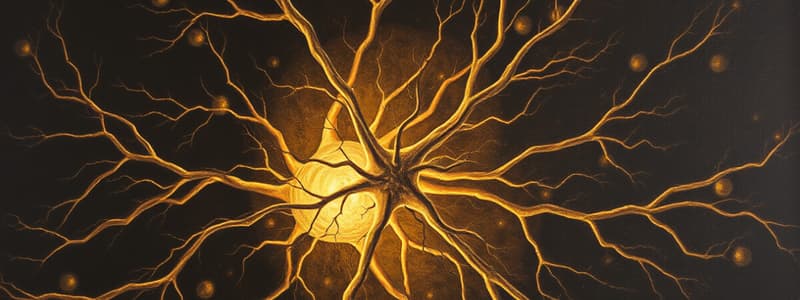 Neuronentheorie und ihre Entdecker