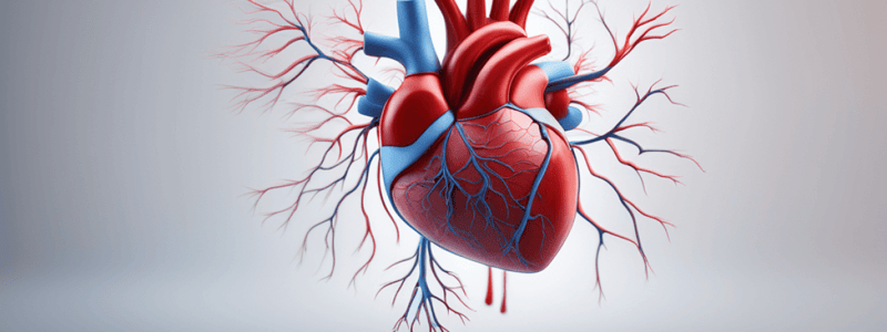 Sistema Cardiovascular