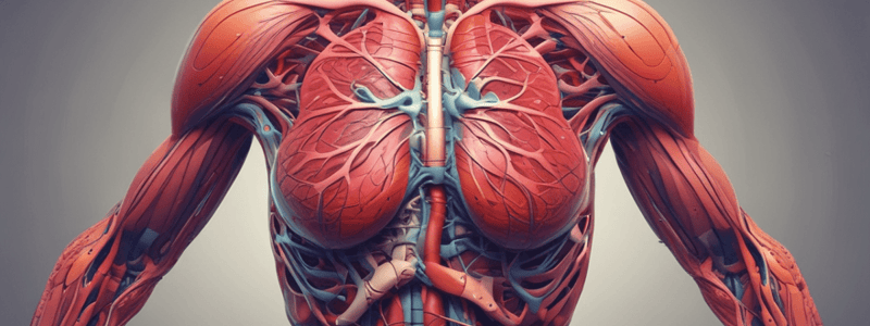 Human Anatomy and Physiology Overview