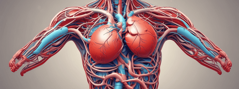 Physiology of the Cardiovascular System