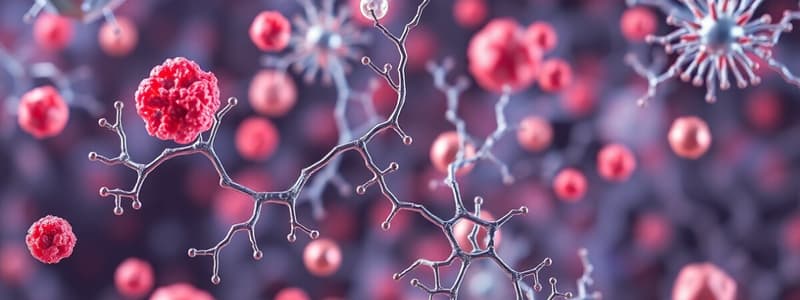 Metabolism Overview: Catabolism & Anabolism