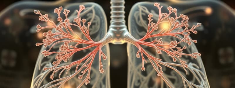 Développement pulmonaire Quizz