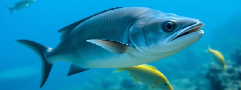 Marine Biology: Elasmobranchs and Fish Behavior