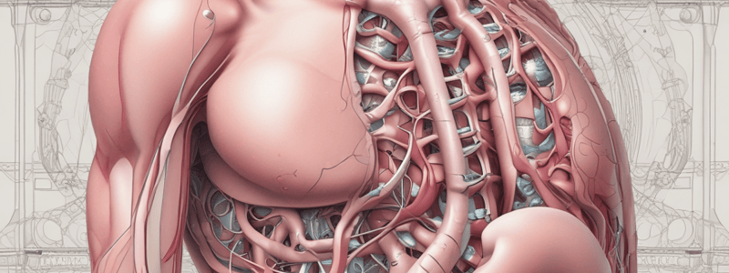 Biology: Male Reproductive System