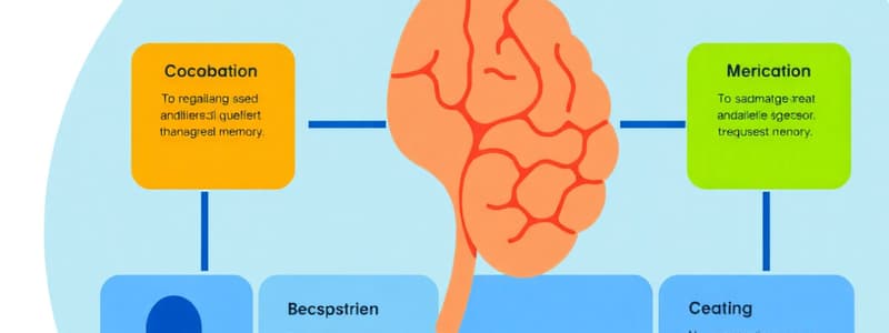 Memory Processes and Types Quiz