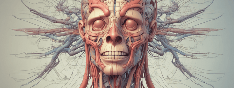 Optic Tract Terminations and Lateral Geniculate Body