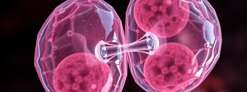 Cell Division and Mitosis Quiz