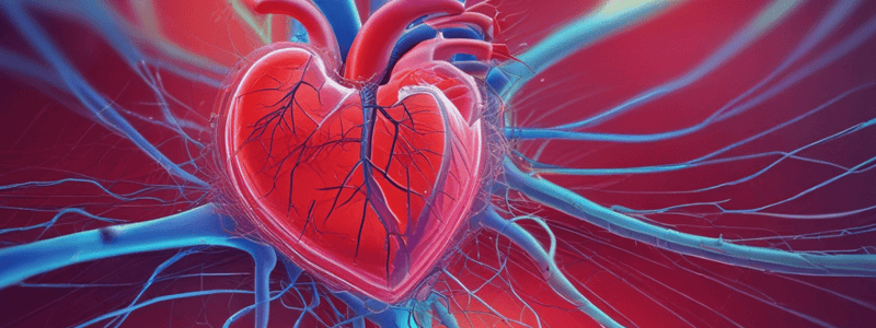 Ch  13 - Part 1 Heart Electrical Signal Pathway Explanation