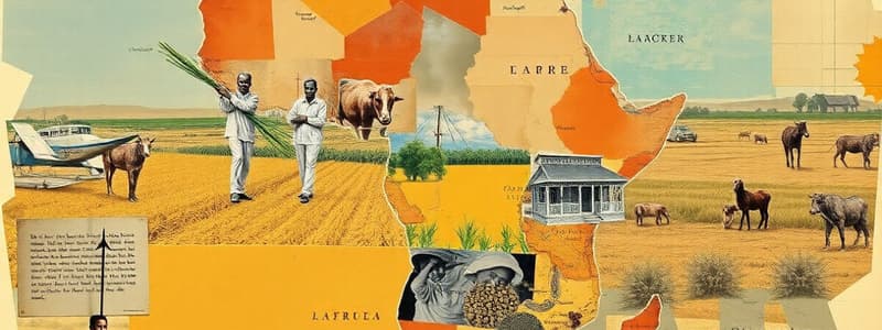 African Crop Regions Overview