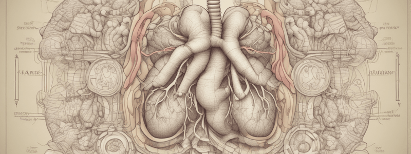 Lecture 14: Respiration