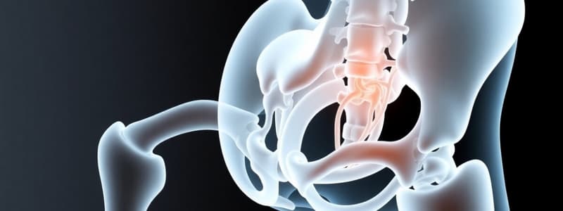 Kinematics of the Pelvis and Hip Joint