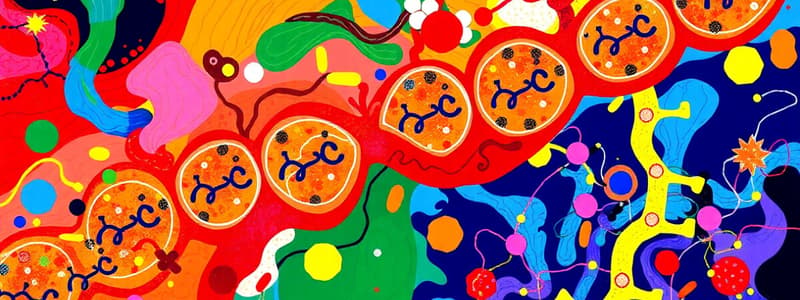 Biochimie et Métabolisme - Enzymes-2 (4)