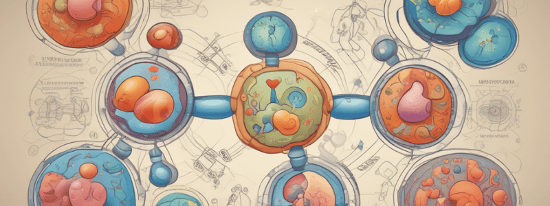 Triacylglycerol Cycle in Lipid Metabolism