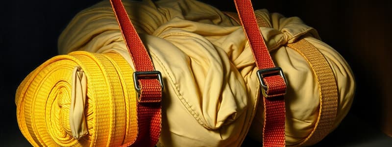 Cargo Securing Straps Overview