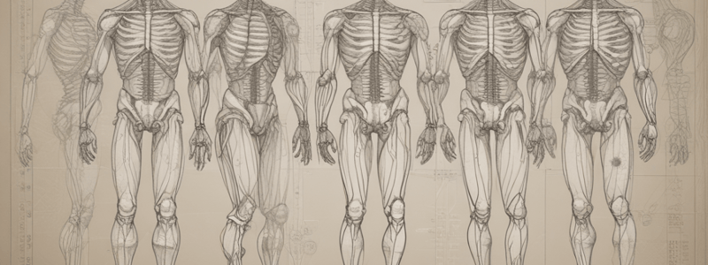 Anatomy: Anatomical Position