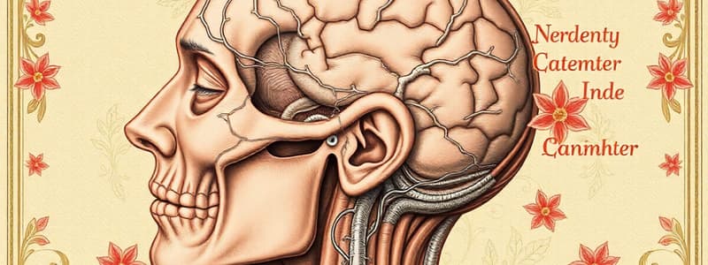 Neurologic Assessment: Cranial Nerve Examination