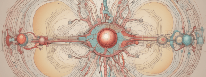 Endocrine System Regulation