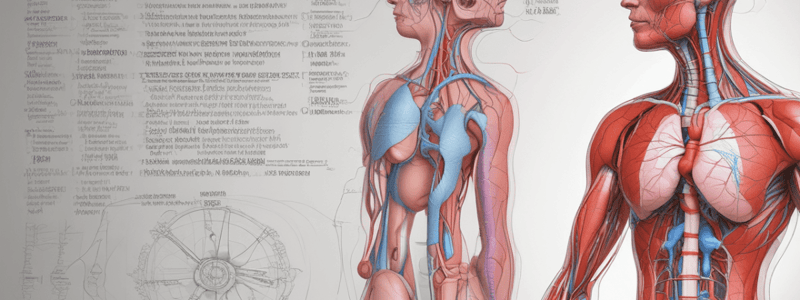 Cardiovascular System: Heart and Peripheral Blood Vessels