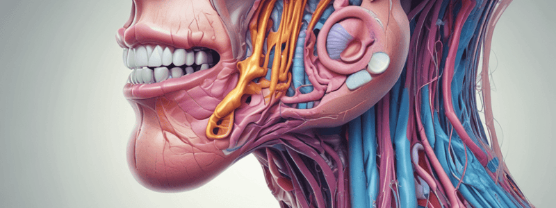 Oral Biology: Salivary Gland Structure & Function