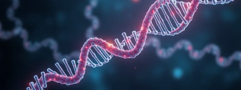 Nucleic Acids: DNA and RNA Structure