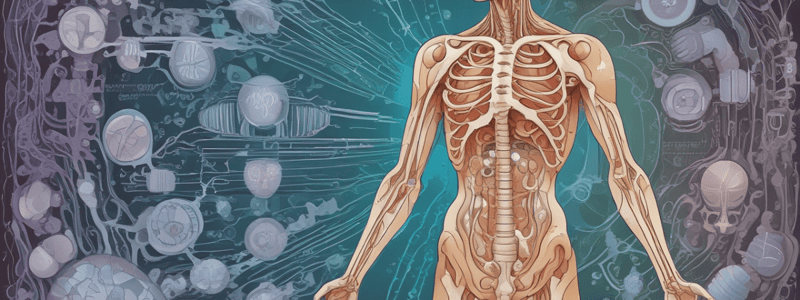 Endocrine System: Calcium and Phosphate Metabolism